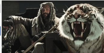 walkingdeadtiger