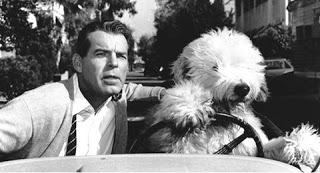 Image result for the shaggy dog 1959
