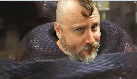 anaconda